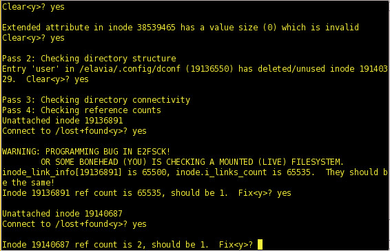 Terminal con e2fsck