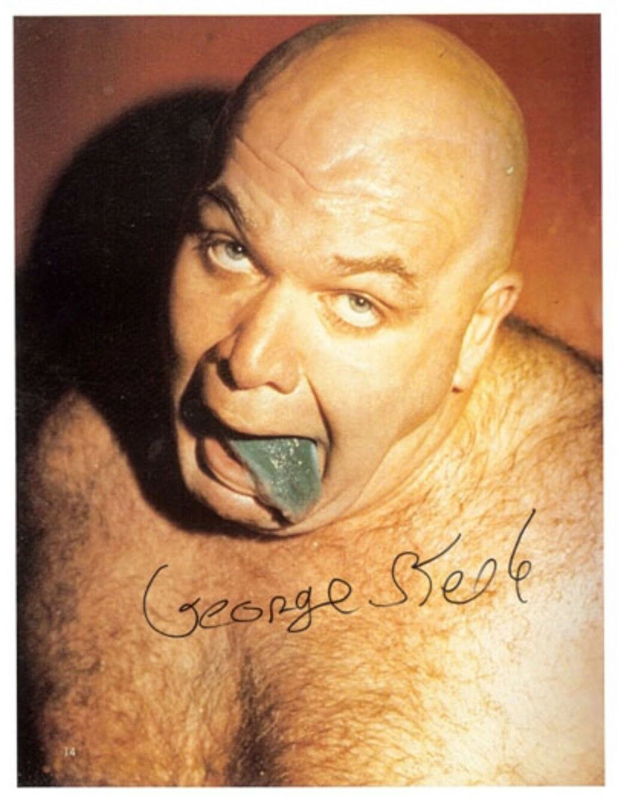 George 'The Animal' Steele