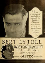 BOSTON BLACKIE'S LITTLE PAL