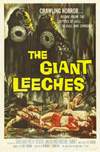 ATTACK OF THE GIANT LEECHES