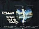 MAN WHO FELL TO EARTH, THE