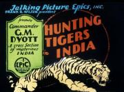 HUNTING TIGERS IN INDIA