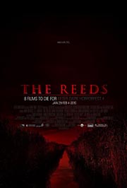 THE REEDS
