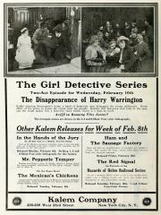 Girl Detective #3 The Disappearance of Harry Warrington